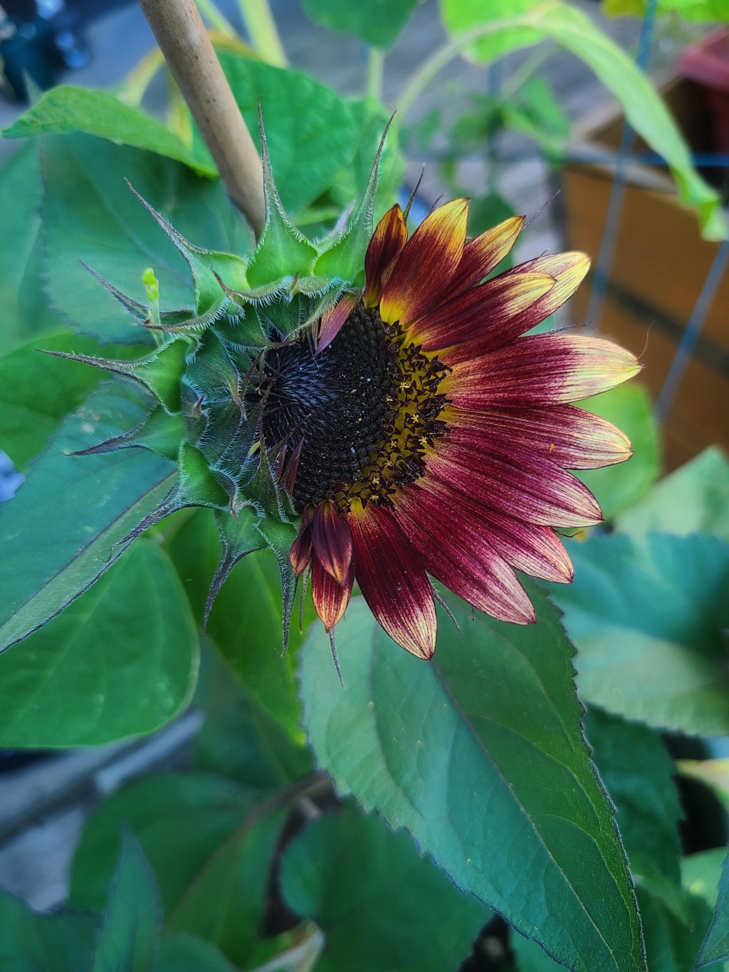 STEP 1: SET YOUR&nbsp;GOALS